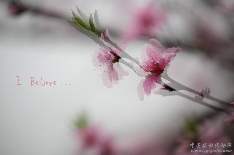 花开的声音