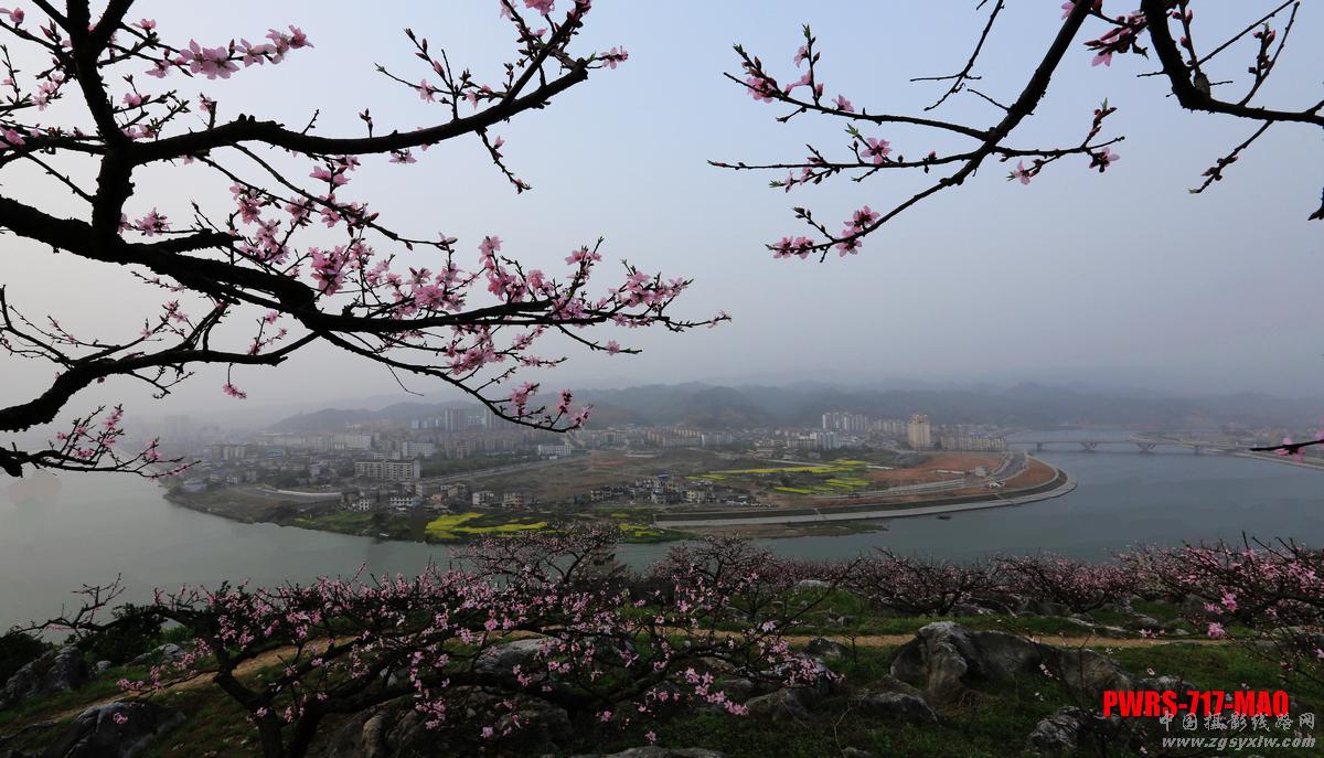 渡船坡