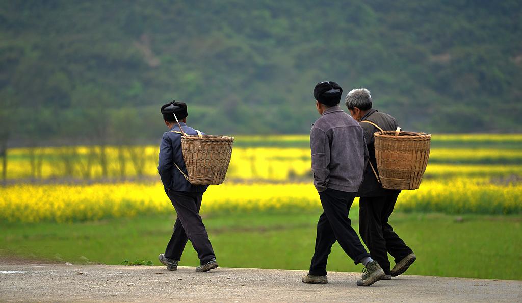 赶集的路上