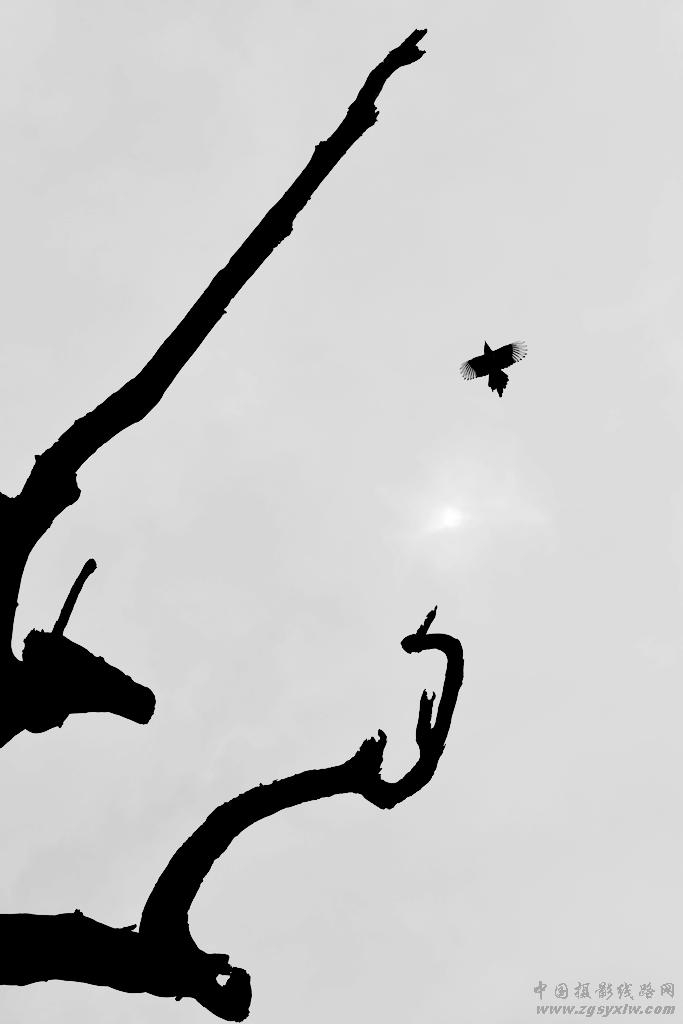 无题