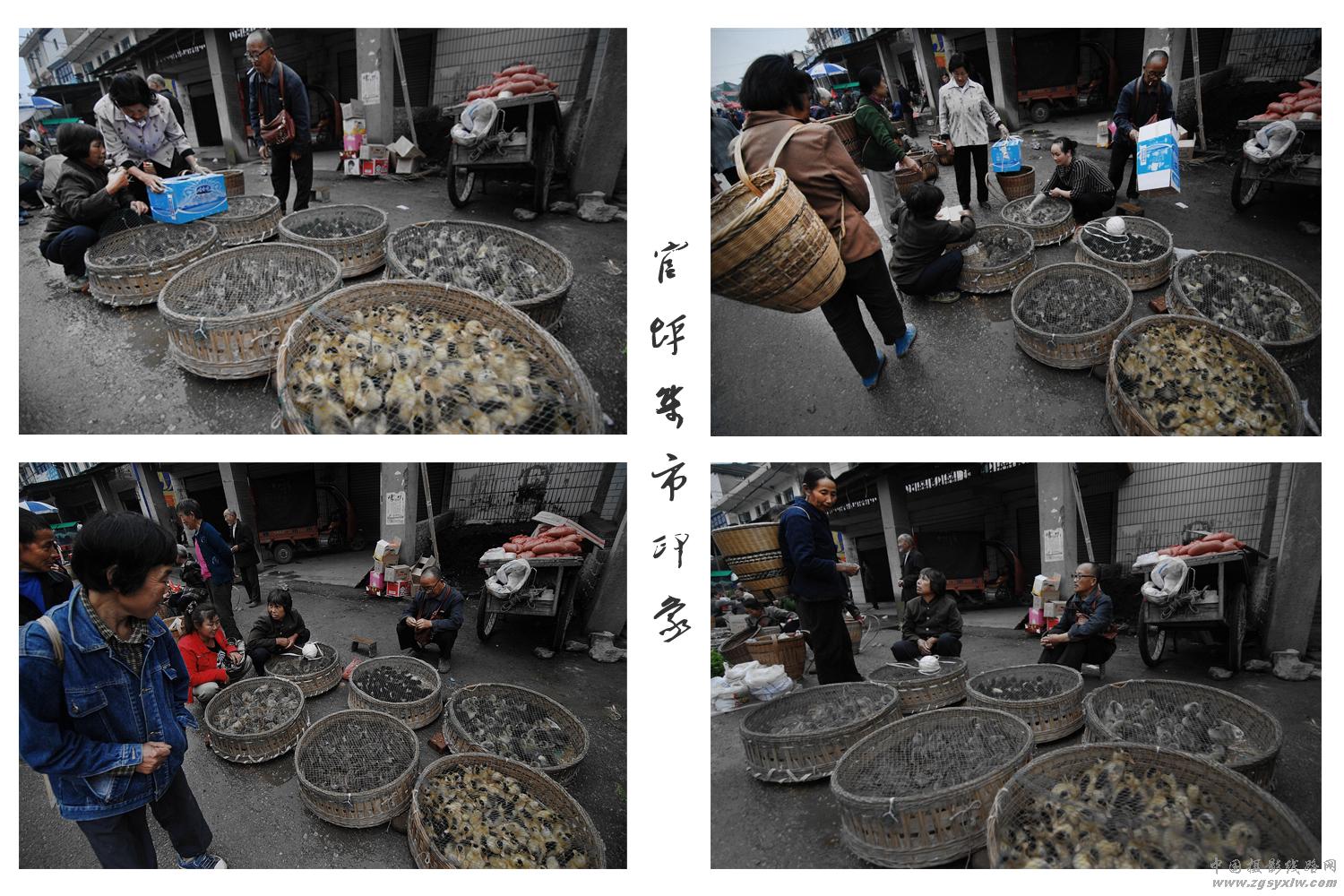 官坪集市见闻