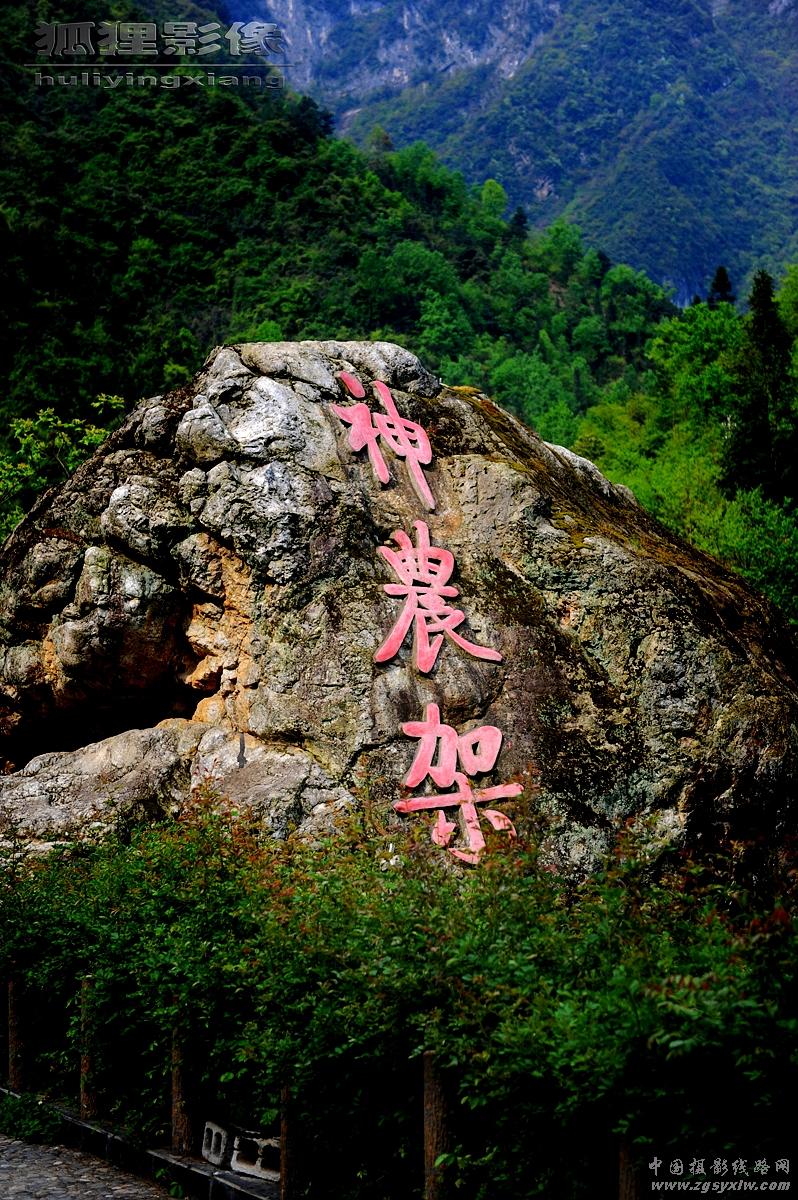 神农架风光
