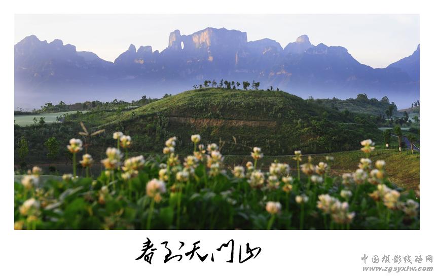 春到天门