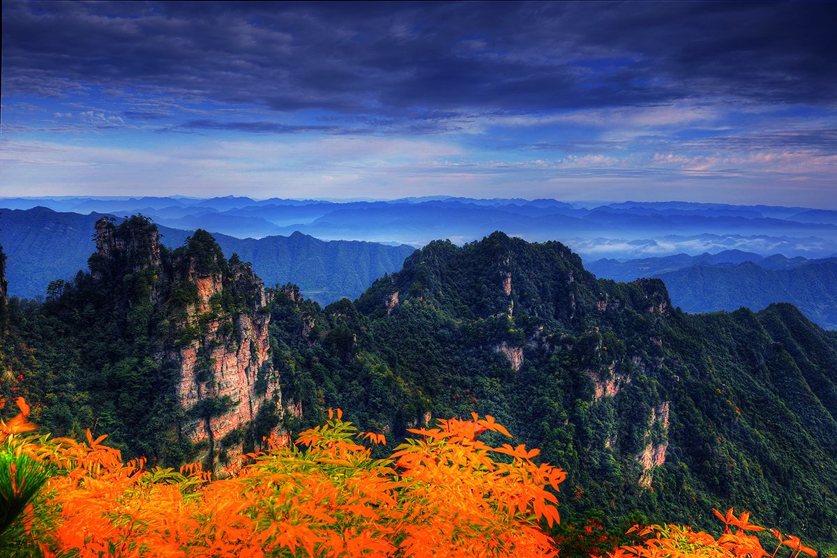 天子山秋色