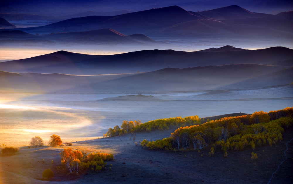 人人都爱树梢光