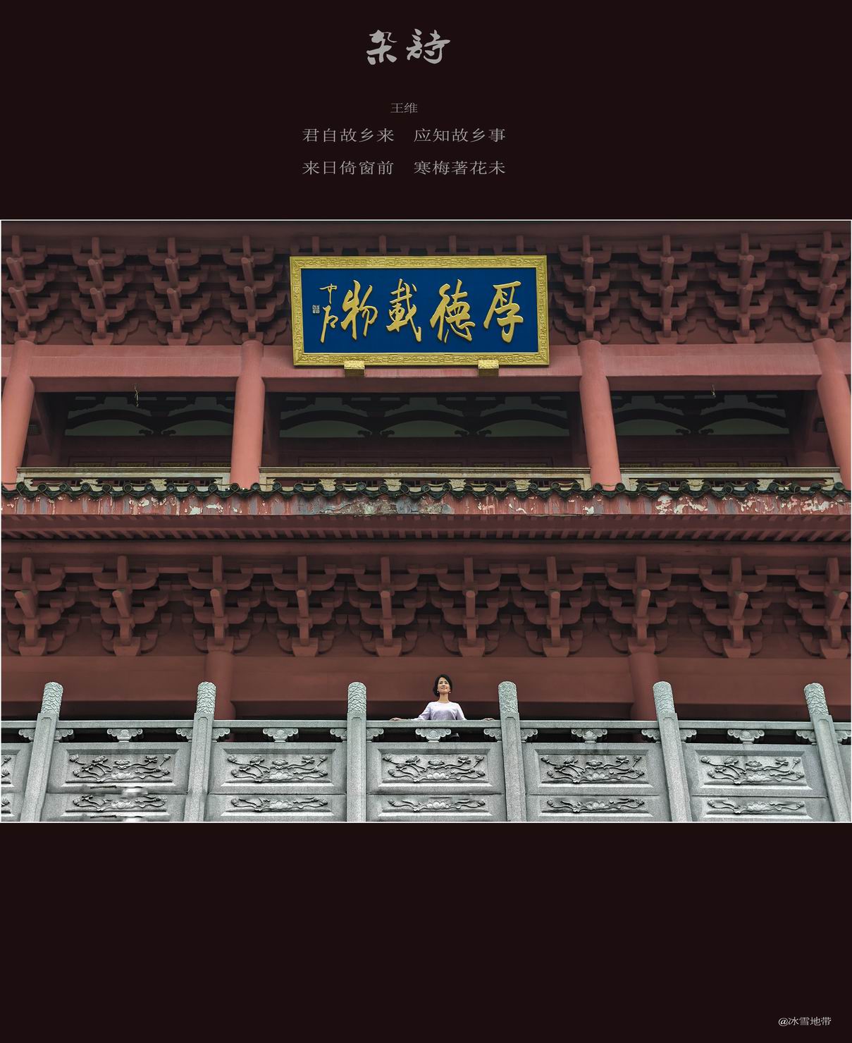 故园之恋