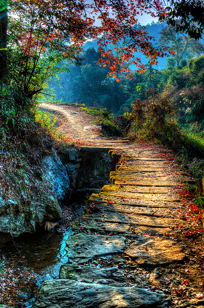 路