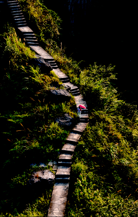 路