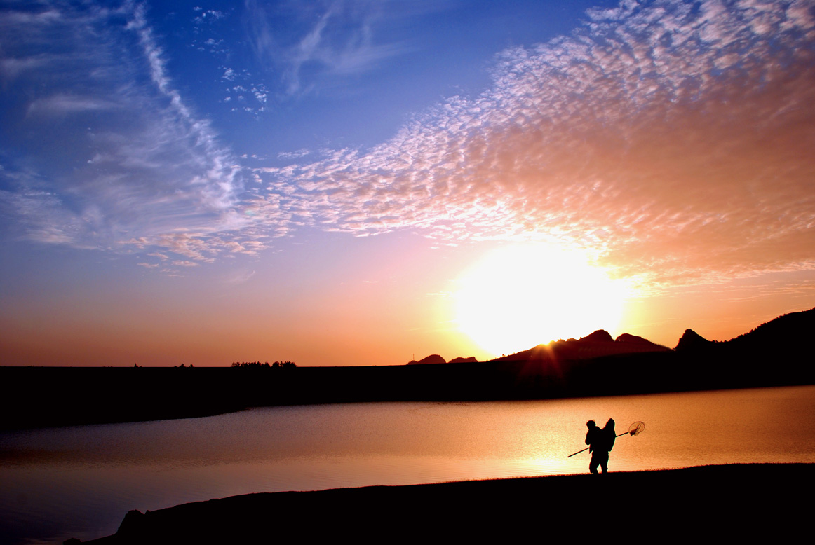 夕归