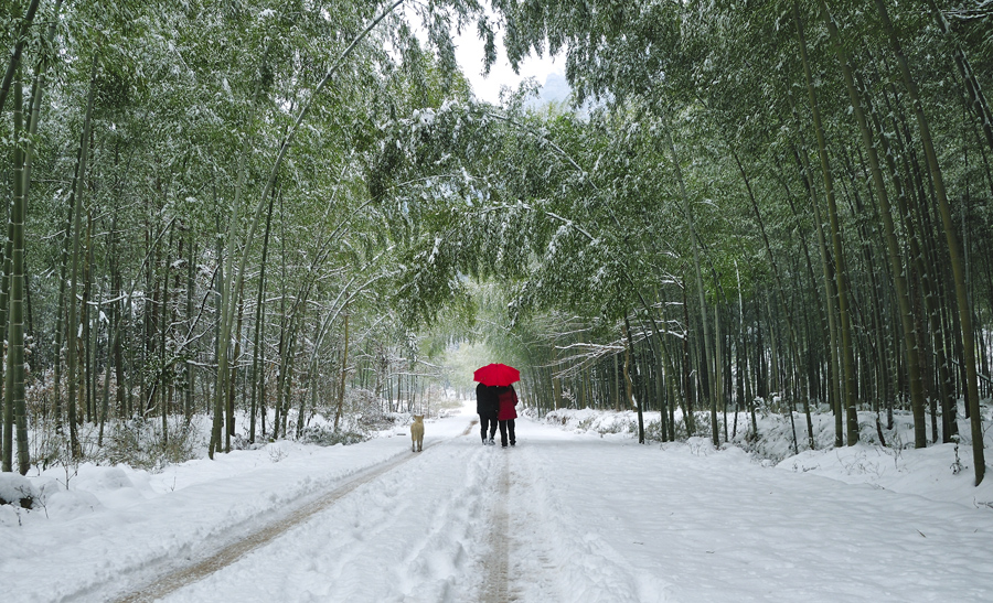 《风雪同行》