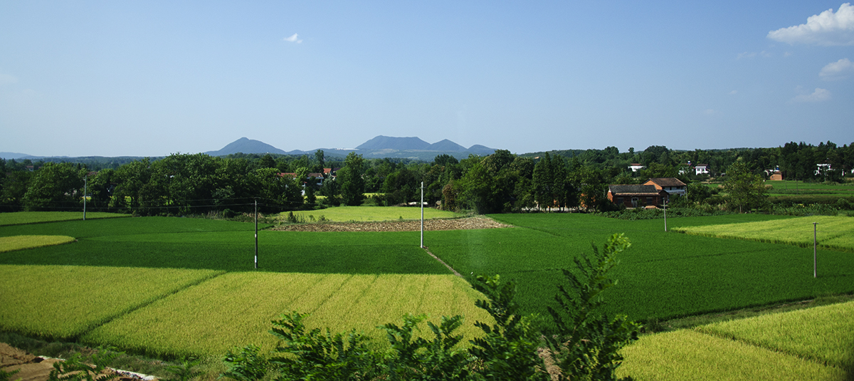 乡村即景