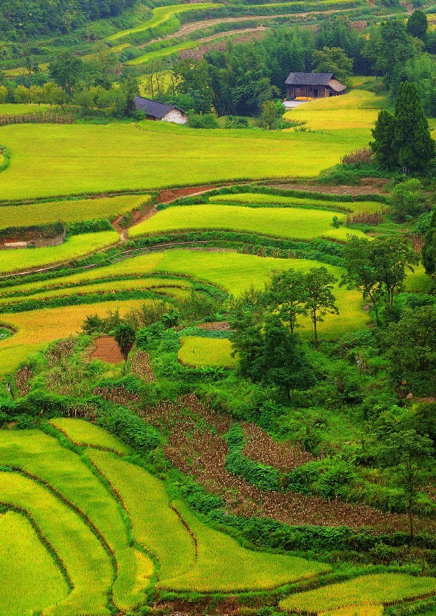 金秋时节
