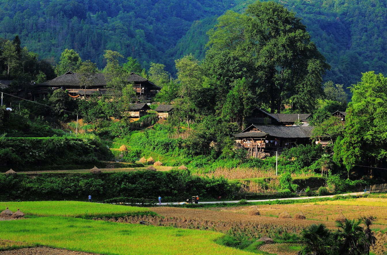 乡村即景