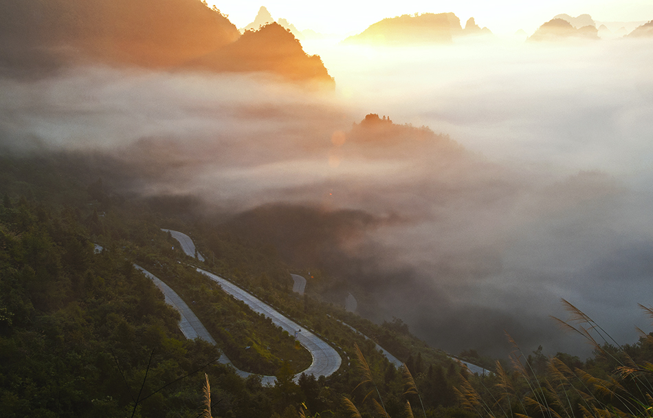 晨雾小景