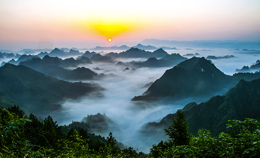 晨雾小景