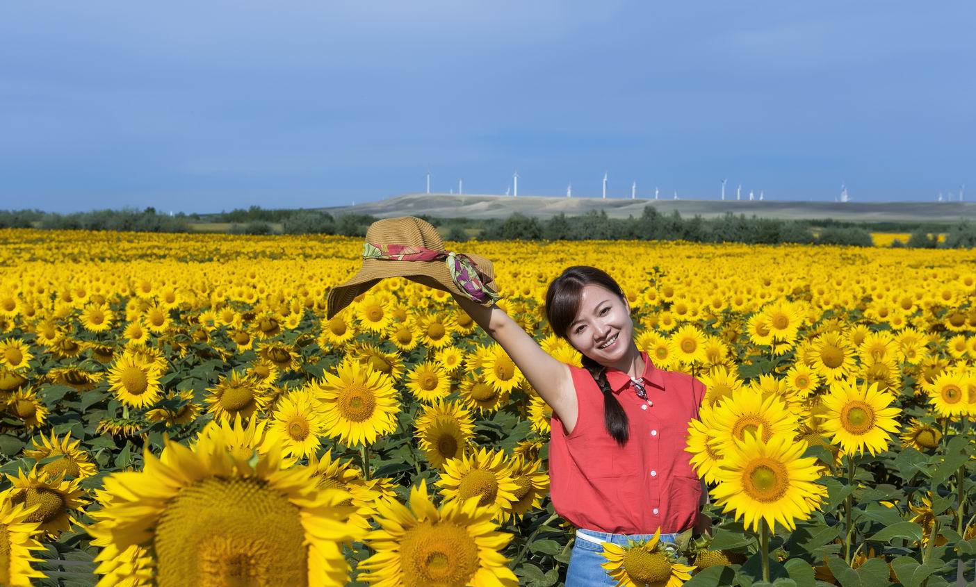 布尔津夏日葵人像片