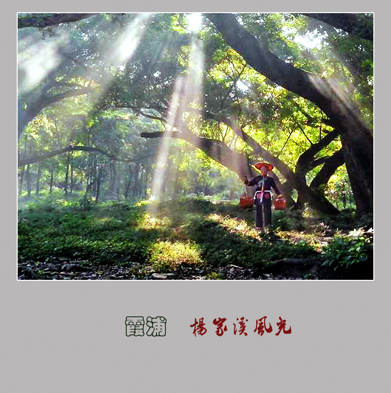 霞浦风光