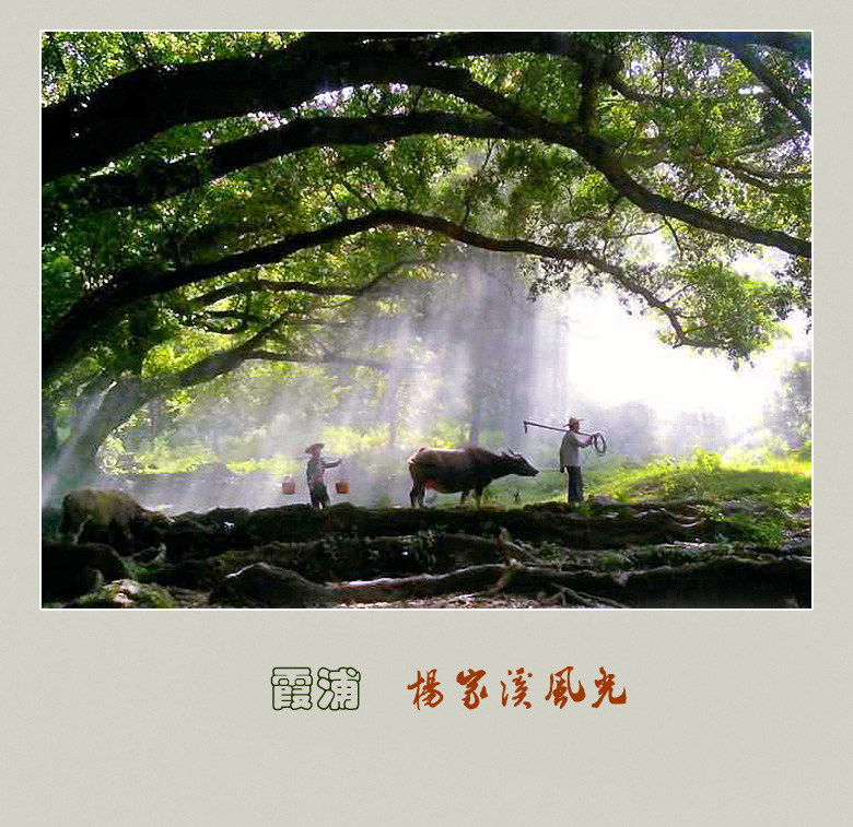 霞浦风光
