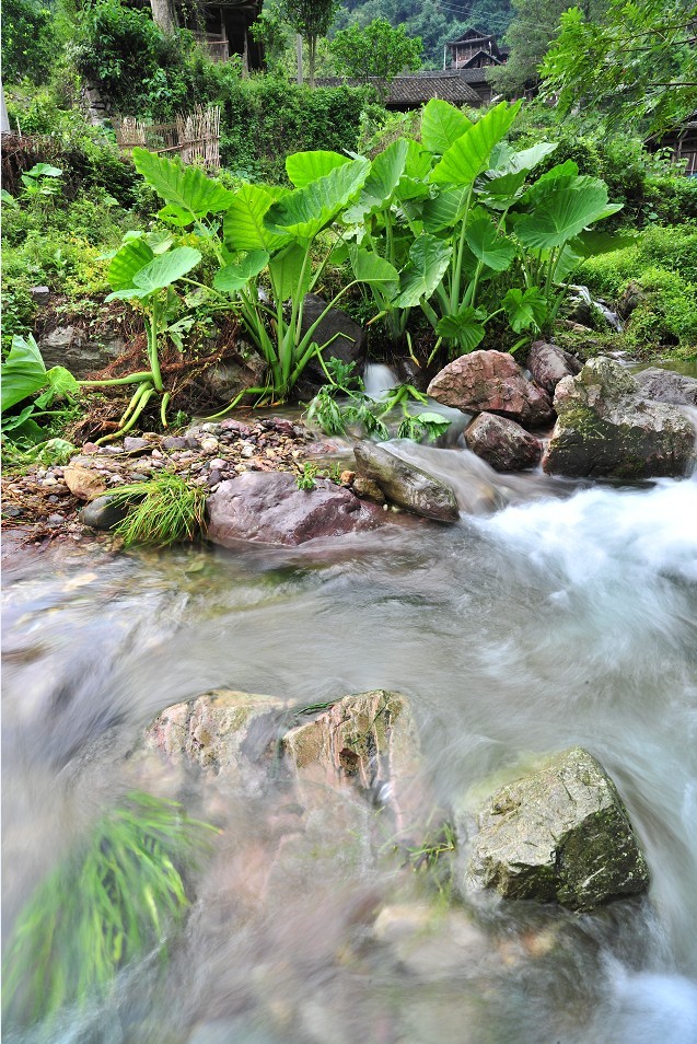 水韵2