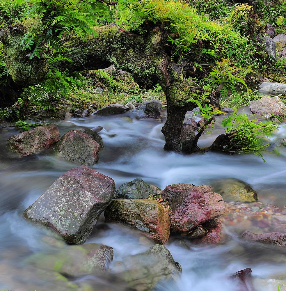 水韵3