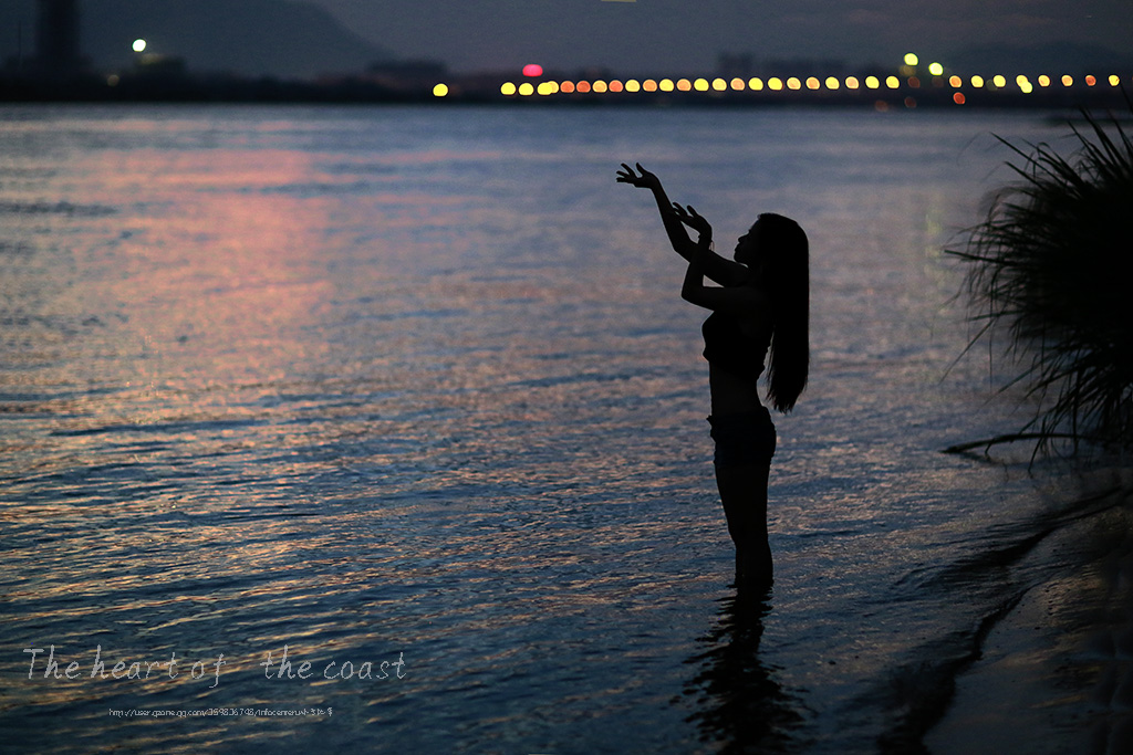 心的海岸