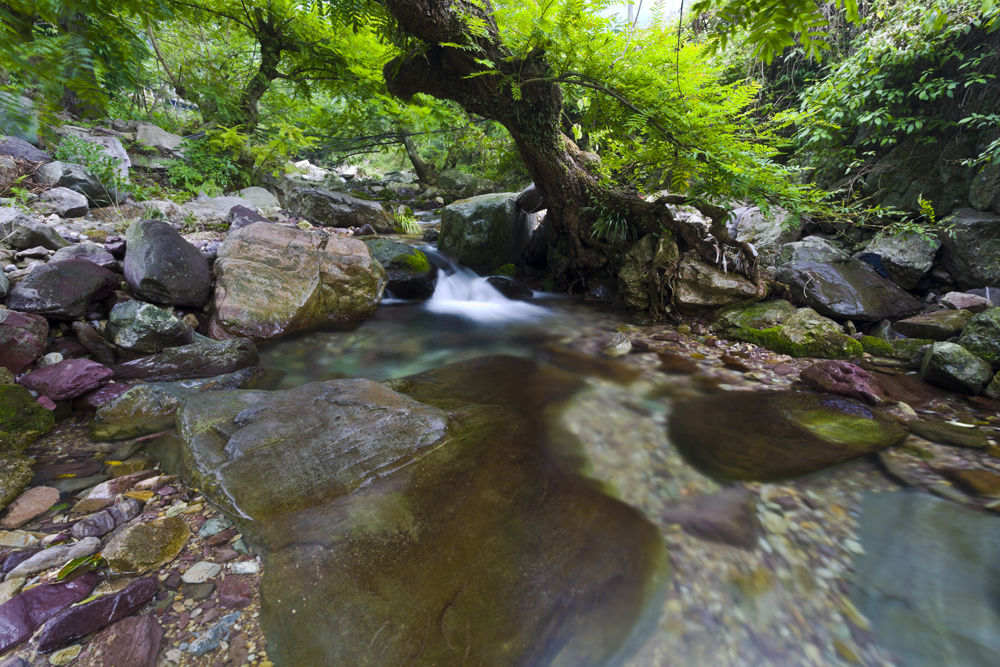 张家湾风光1