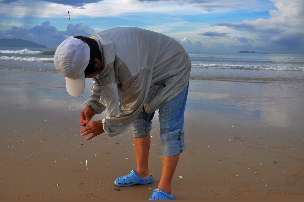 海鱼上钩