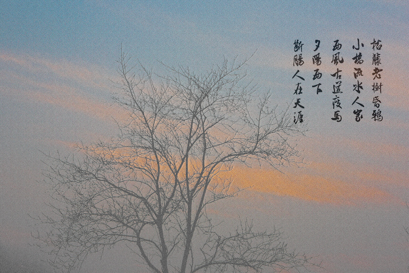 冬日
