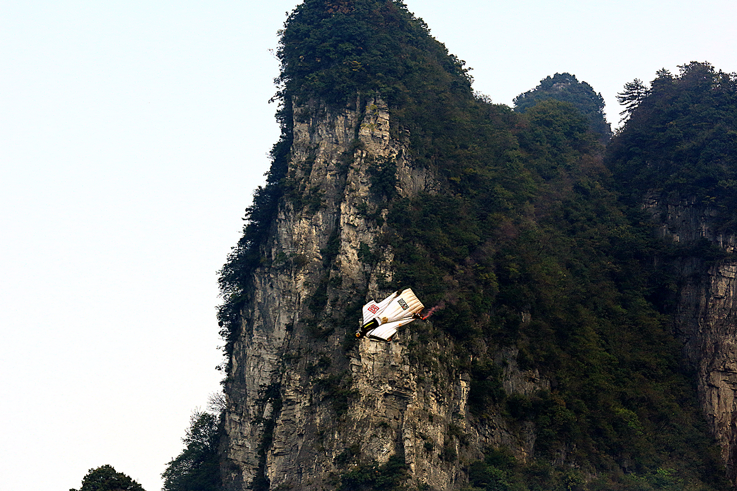 勇者无惧