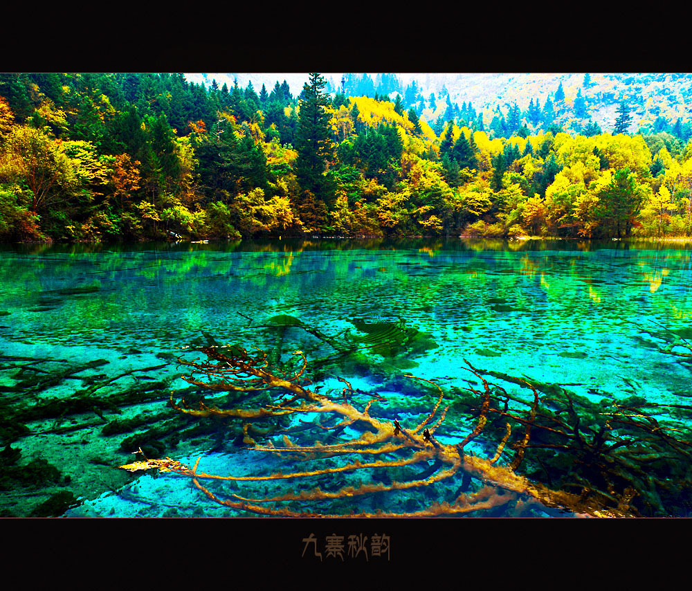 九寨秋韵