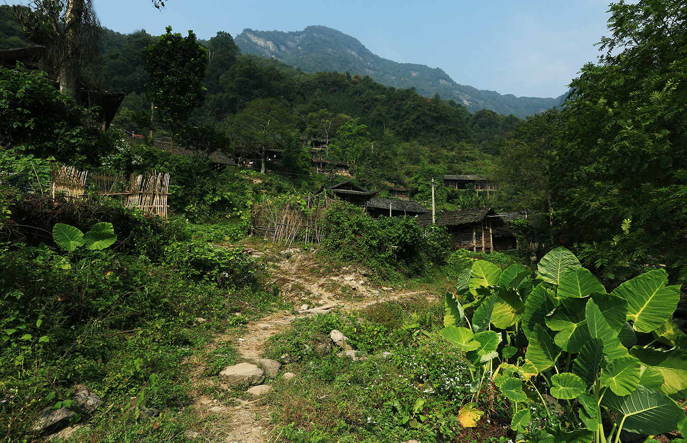 张家湾采风7