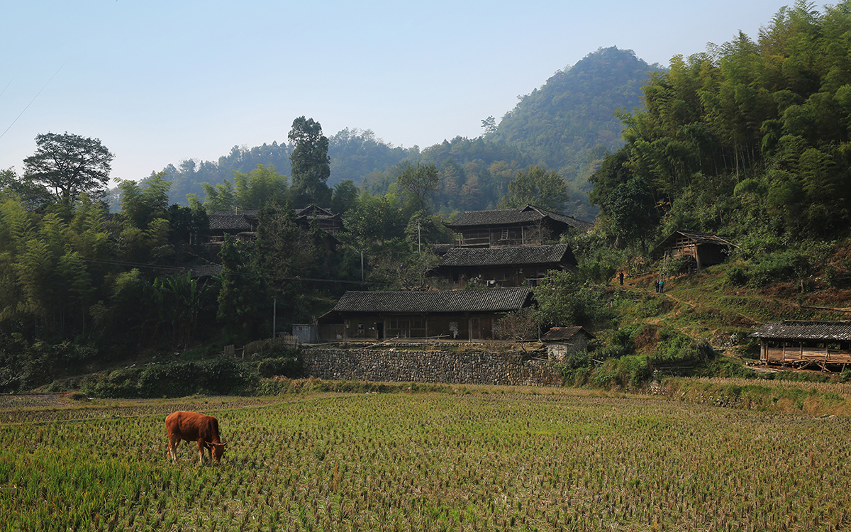 张家湾采风1