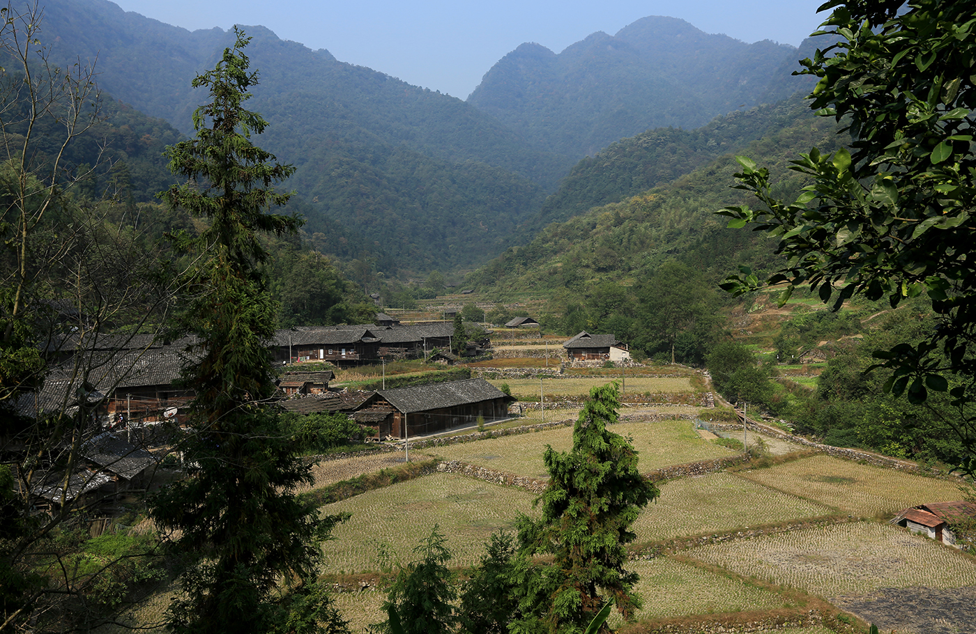 张家湾采风20