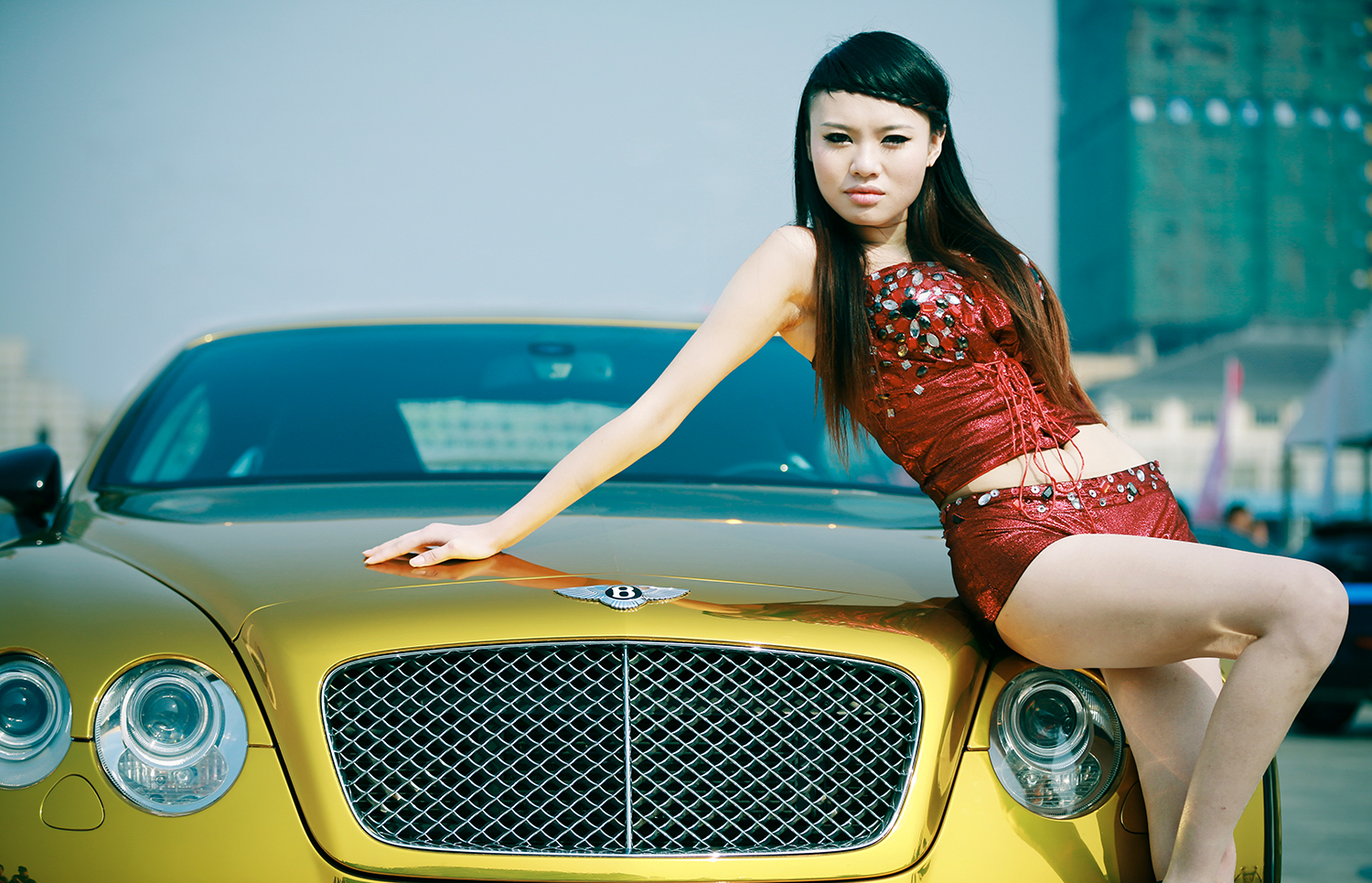 名车美女2