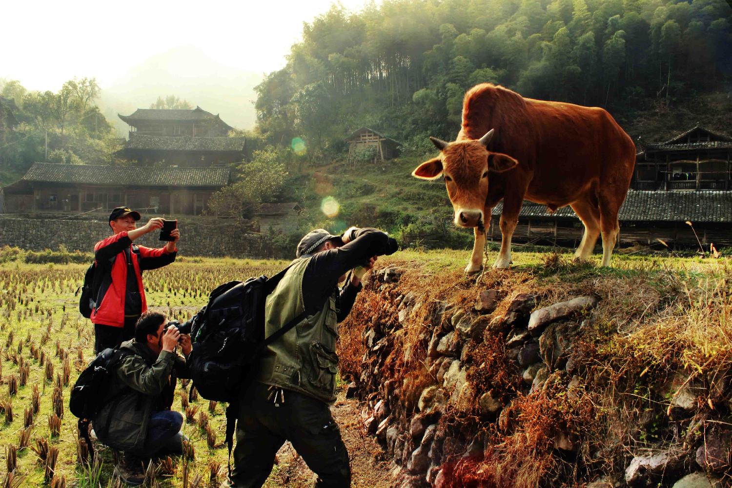 大师与裸模
