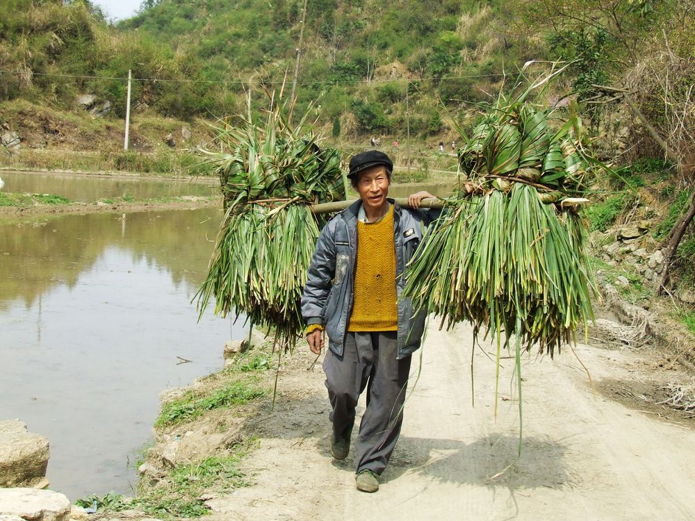 割草归来
