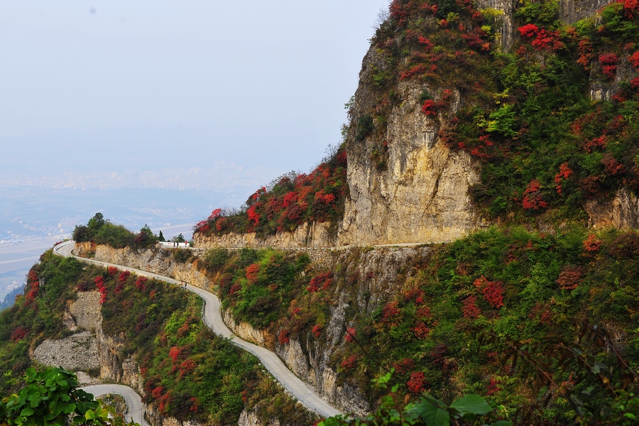 崇山红叶