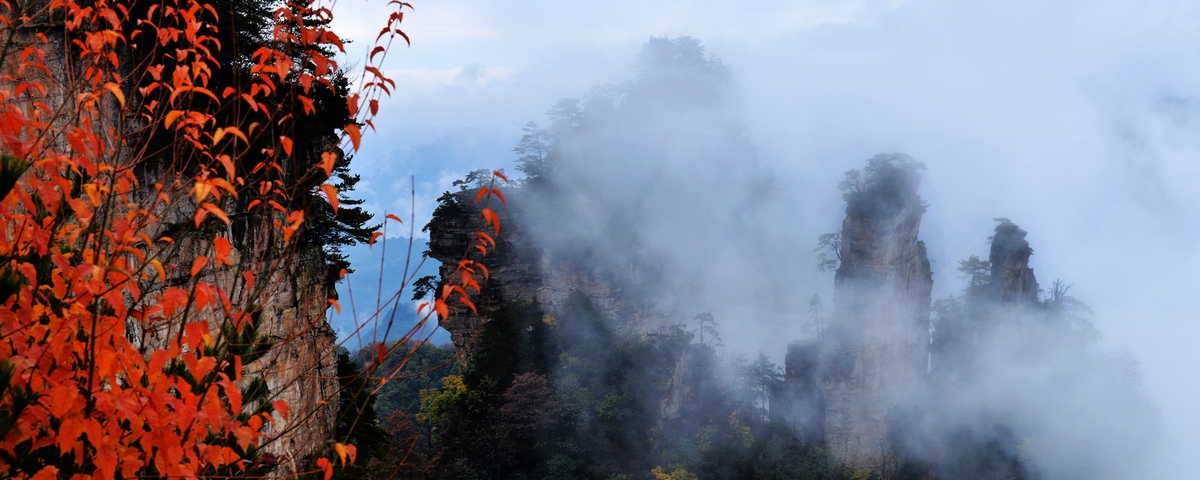 秋染天子山