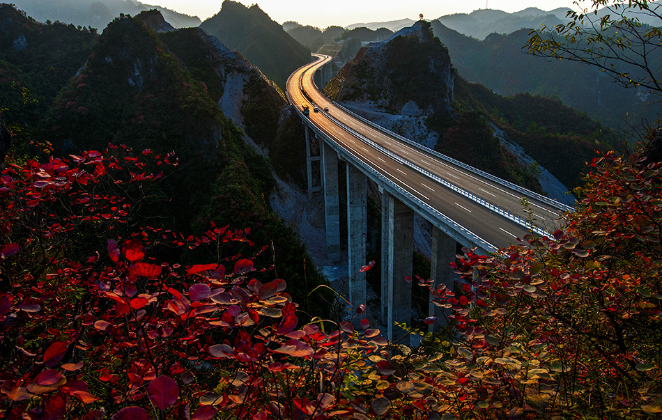 《又见满山红叶时》