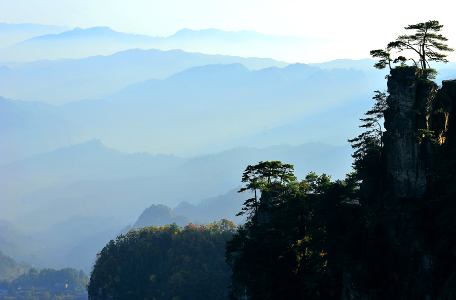 天子山之晨