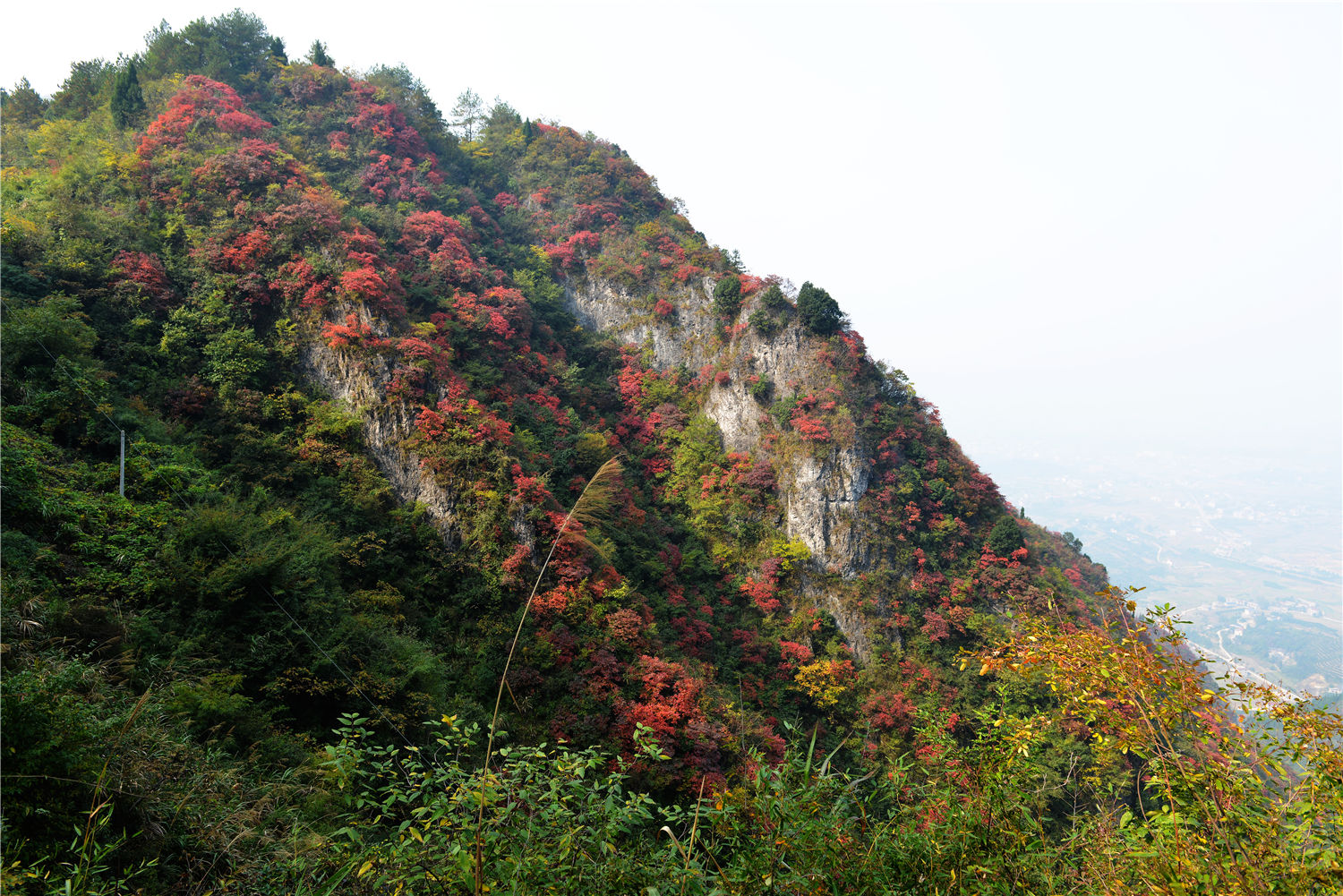 崇山2
