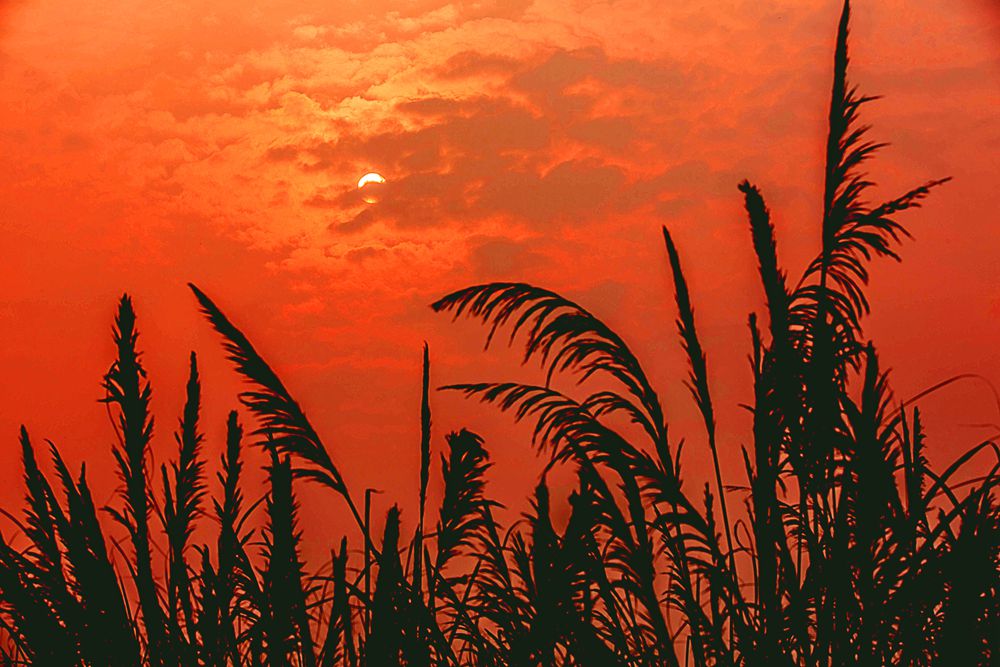 夕阳西下