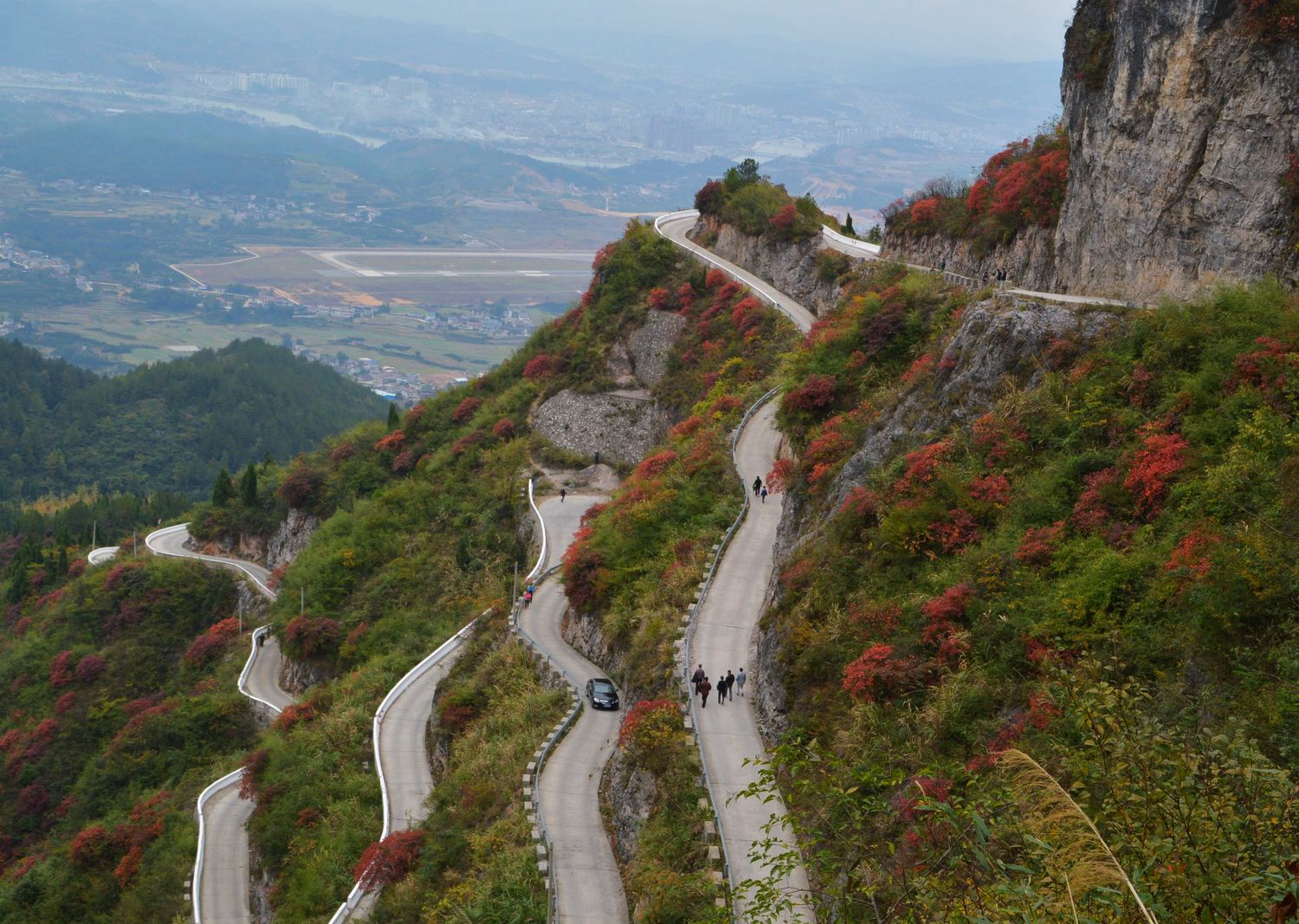 待到满山红遍时