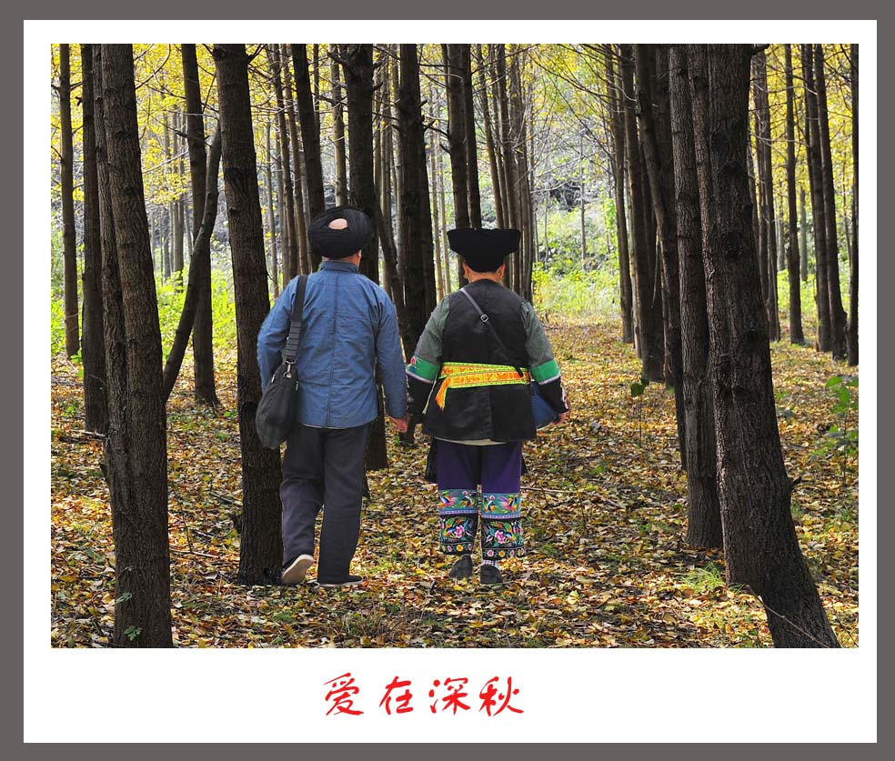 爱在深秋
