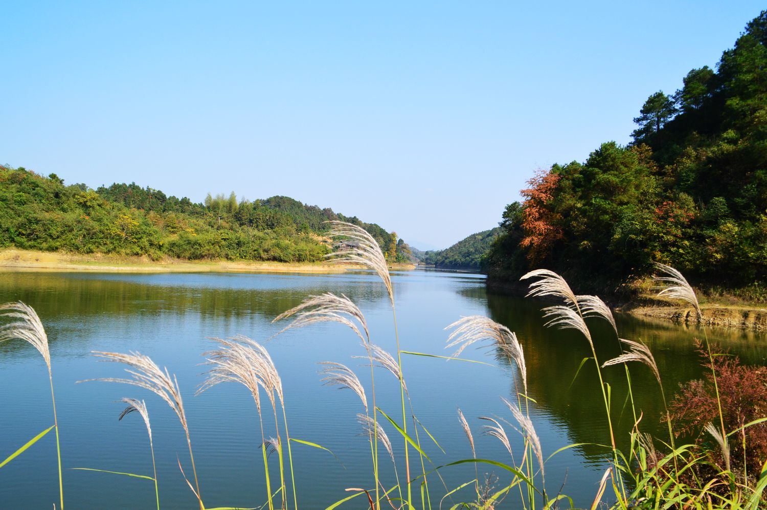 龙潭河一景