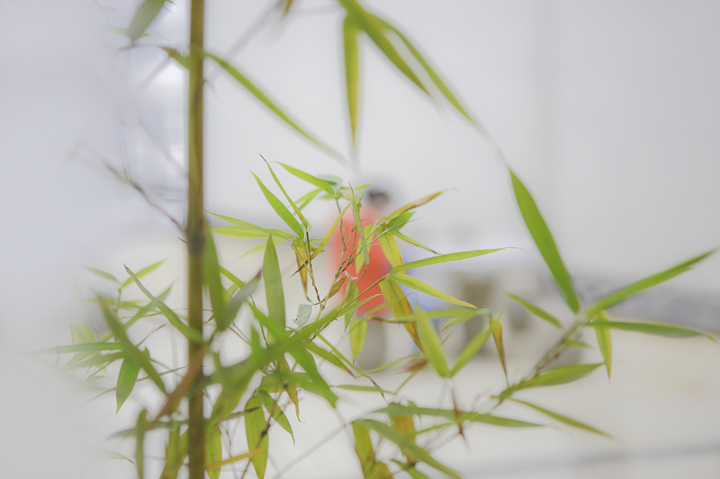 书声动竹叶，节义沐轻风。