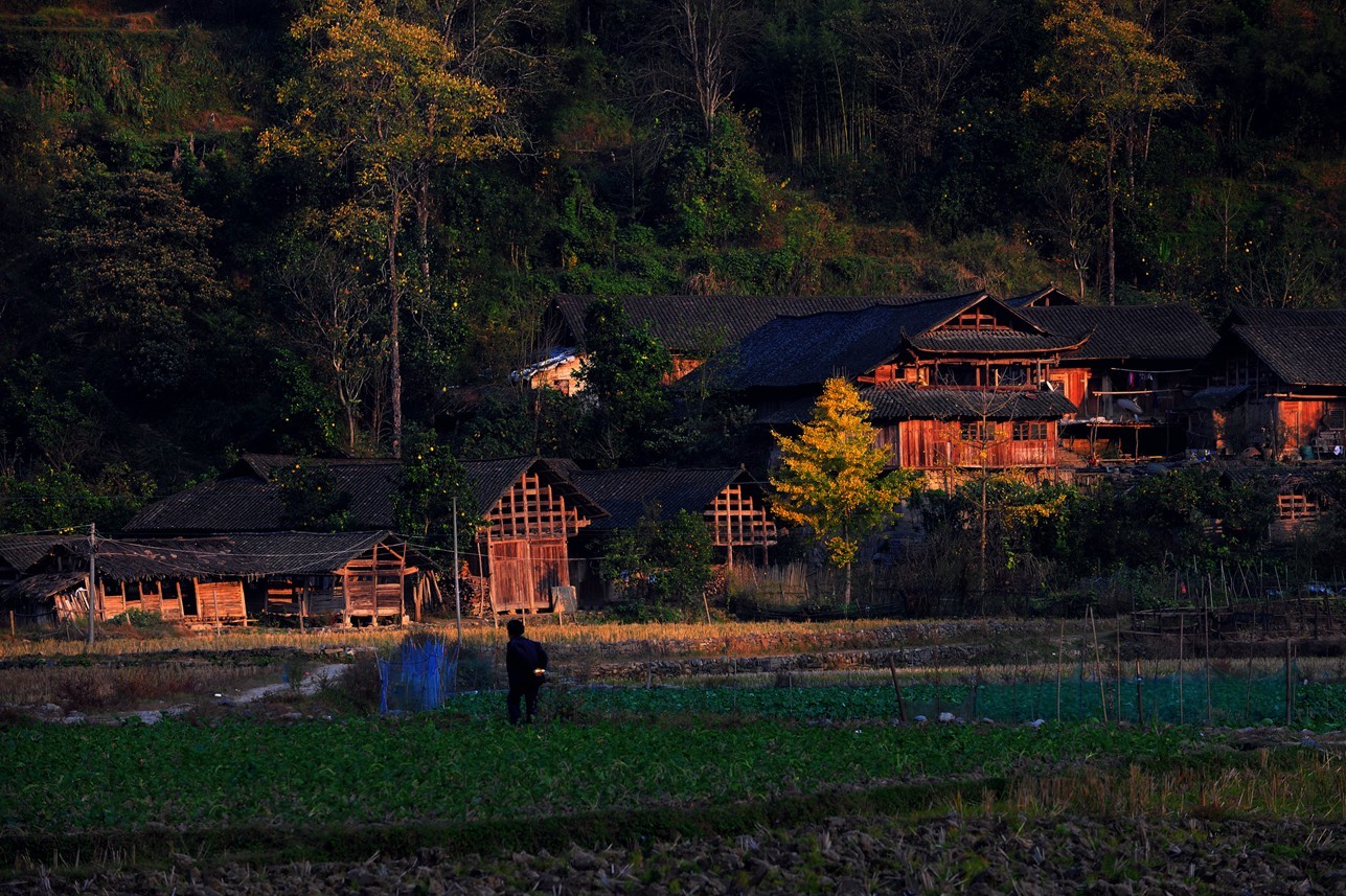 土家山村