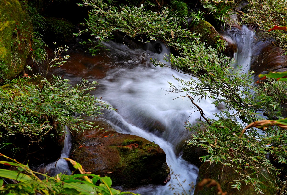 赤水四洞沟景区