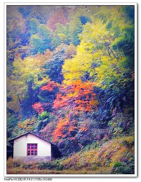 深秋小景