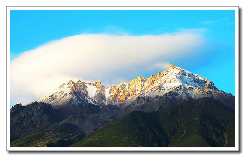 靑海祁连牛心山2
